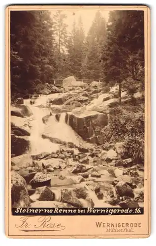 Fotografie Fr. Rose, Wernigerode, Ansicht Wernigerode, Wildwasser Steinerne Renne