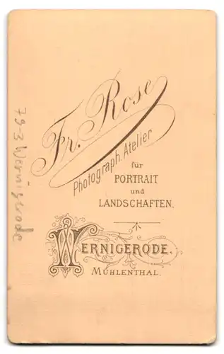 Fotografie Fr. Rose, Wernigerode, Ansicht Wernigerode, Wildwasser Steinerne Renne