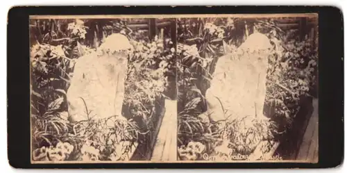 Stereo-Fotografie Plastik - Statue zwischen Blumen