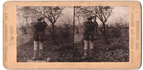 Stereo-Fotografie Jäger mit Gewehr hat auf ein Vogelnest angelegt
