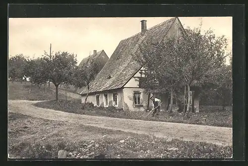 AK Reinsdorf i. Sa., Altes Haus im Ort