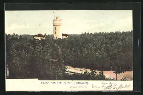 AK Sachsenwald-Hofriede, Blick auf den Bismarkturm