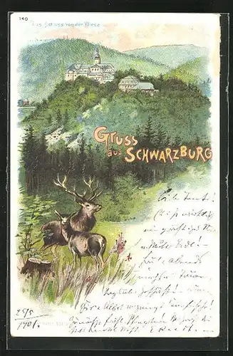 Lithographie Schwarzburg, Das Schloss von der Wiese