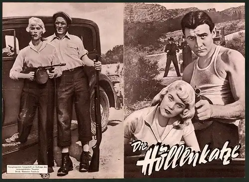 Filmprogramm Hausprogramm, Die Höllenkatze, Dorothy Provine, Jack Hogan, Regie: William Witney