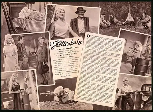 Filmprogramm Hausprogramm, Die Höllenkatze, Dorothy Provine, Jack Hogan, Regie: William Witney