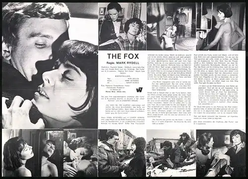 Filmprogramm IFB Nr. 7833, The Fox, Keir Dullea, Anne Heywood, Regie: Mark Rydell