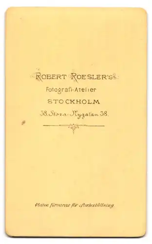 Fotografie Robert Roesler, Stockholm, Stora Nygatan 38, Portrait stattlicher Herr mit Fliege und Bart