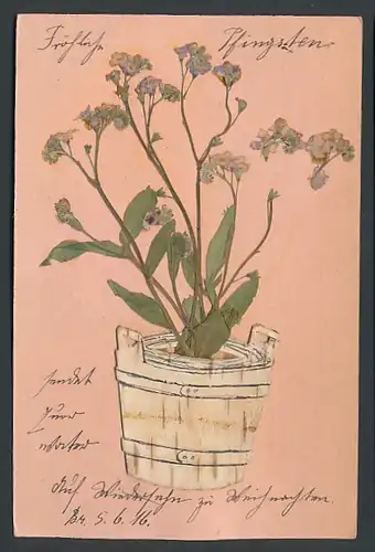 Trockenblumen-AK Getrocknete Blumen wachsen aus einem Eimer - Trockenblume