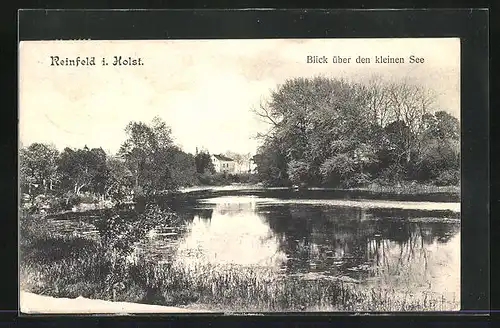 AK Reinfeld i. Holst., Blick über den kleinen See
