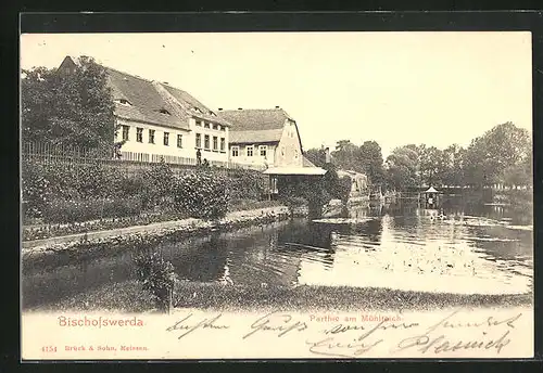 AK Bischofswerda, Parthie am Mühlteich
