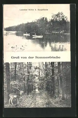 AK Lasbeker Mühle b. Bargteheide, Waldpartie mit Reh, Flusspartie mit Ruderbooten