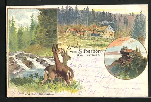 Lithographie Bad Harzburg, Gasthaus Silberborn, Radautal und Forellensprung