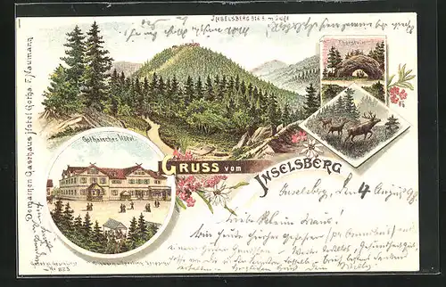 Lithographie Inselsberg, Gothaisches Hotel und Thorstein