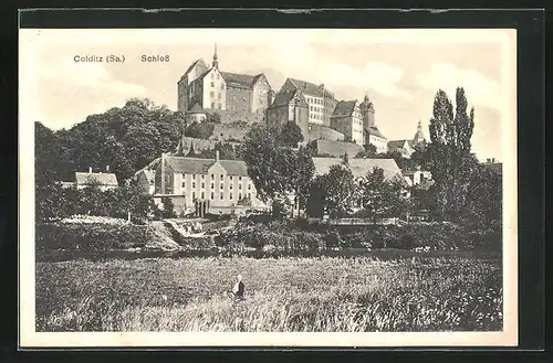 AK Colditz, Blick auf das Schloss