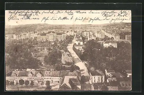 AK Auerbach, Fliegeraufnahme von der Stadt