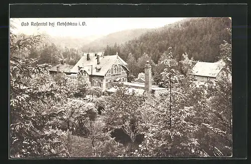 AK Netzschkau i. V., Hotel Bad Rosenthal