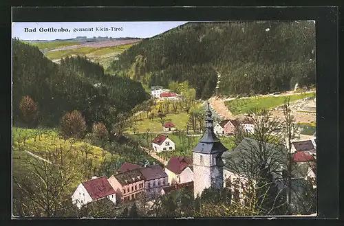 AK Bad Gottleuba, Blick über den sonnigen Ort