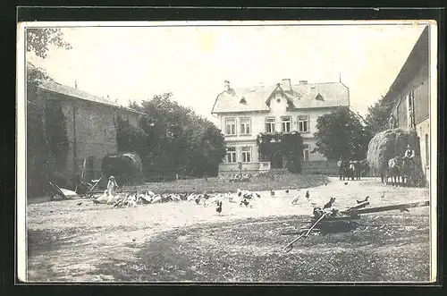 AK Herrenhof b. Rohlfshagen / Holstein, Hühner auf dem Platz