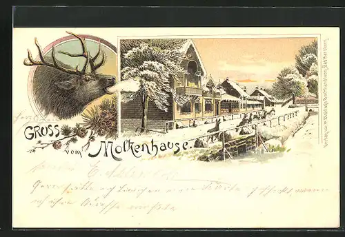 Winter-Lithographie Bad-Harzburg, Molkenhaus, Rehe laufen über die kleine Brücke, Hirsch