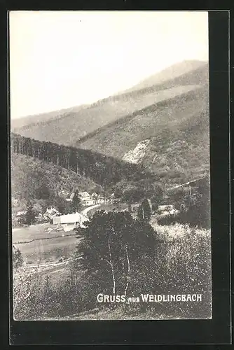 AK Weidlingbach, Ortspartie im Gebirge