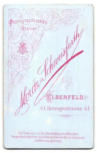 Fotografie Moritz Schweisfurth, Elberfeld, Portrait stattlicher Herr mit Fliege und Schnurrbart