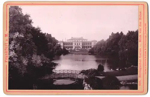 Fotografie Römmler & Jonas, Dresden, Ansicht Frankfurt / Main, Zoologischer Garten, Blick von der Ruine