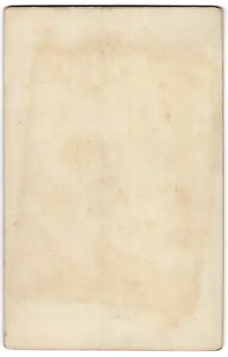 Fotografie J. B. Hilsdorf, Bingen, Ansicht Rüdesheim / Rhein, National-Denkmal, Niederwalddenkmal