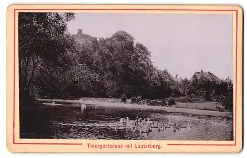 Fotografie Ernst Roepke, Wiesbaden, Ansicht Karlsruhe, Tiergartensee mit Lauterberg