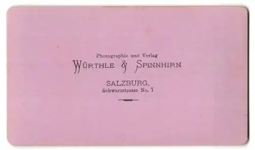 Fotografie Würthle & Spinnhirn, Salzburg, Ansicht Zell am See, Panorama mit steinernen Meer