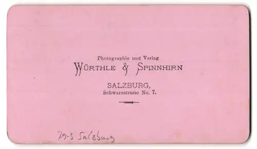 Fotografie Würthle & Spinnhirn, Salzburg, Ansicht Salzburg, Hofbrunnen mit der Residenz