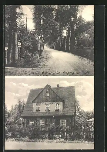AK Colditz i. Sa., Forsthaus Lippert, Eingang zum Wald