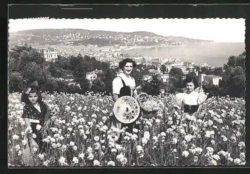 AK Nice, La cueillette des oeillets, Frauen pflücken Blumen