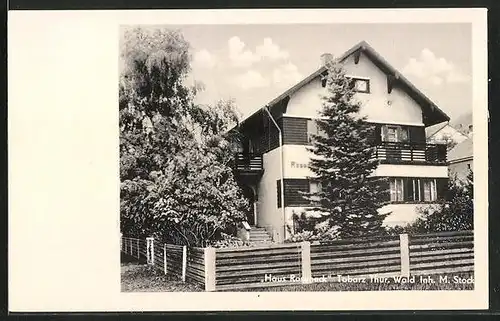 AK Tabarz /Thür. Wald, Blick auf die Pension Haus Roseneck