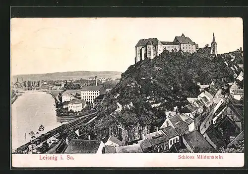 Relief-AK Leisnig i. Sa., Schloss Mildenstein aus der Vogelschau