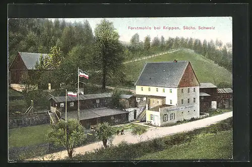 AK Krippen /Sächs. Schweiz, Gasthaus Forstmühle aus der Vogelschau
