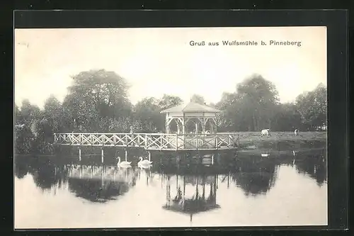 AK Wulfsmühle b. Pinneberg, Blick auf Teich und Pavillon mit Schwänen