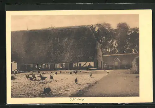 AK Schönhagen, Bauernhof mit Hühnern