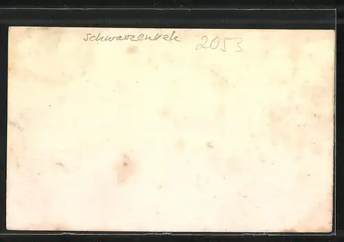 AK Schwarzenbek, Panorama vom Ort