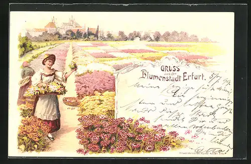 Lithographie Erfurt, Blumenfrau im Blummenfeld