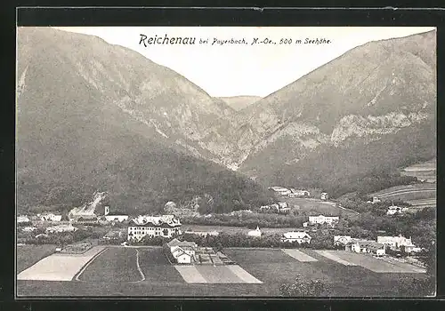 AK Reichenau b. Payerbach, Ortschaft gegen Berge