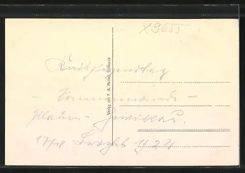 AK Schöneck i. V., am Albertplatz