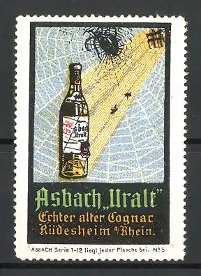 Reklamemarke Asbach Uralt, echter alter Cognac, Rüdesheim, Flasche im Spinnennetz