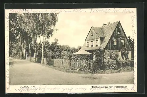 AK Colditz / Sachsen, Waldwärterhaus mit Waldeingang