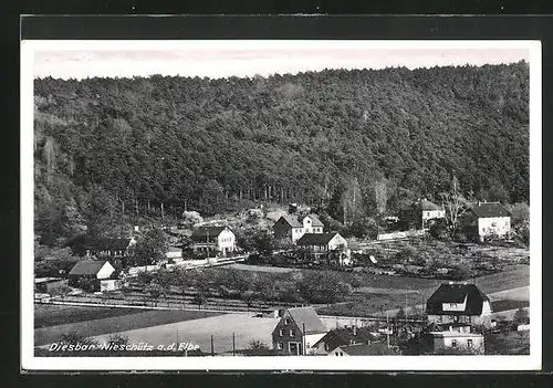 AK Diesbar-Nieschütz / Elbe, Ortsansicht aus der Vogelschau