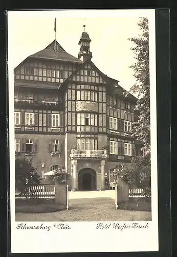 AK Schwarzburg i. Thür., Hotel Weisser Hirsch, Vorderansicht