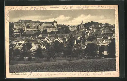 AK Colditz i. Sa., Panoramablick auf den Ort