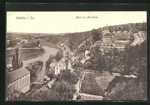 AK Colditz i. Sa., Blick ins Muldental