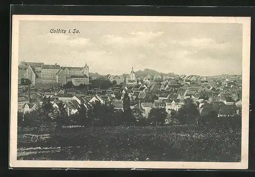 AK Colditz i. Sa., Panoramablick von der Bergwiese