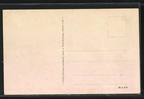 AK Colditz i. Sa., Panoramablick von der Bergwiese