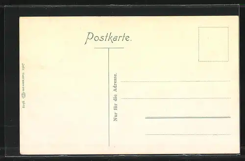 AK Schwarzburg / Thür., Panoramablick vom Trippstein auf den Ort